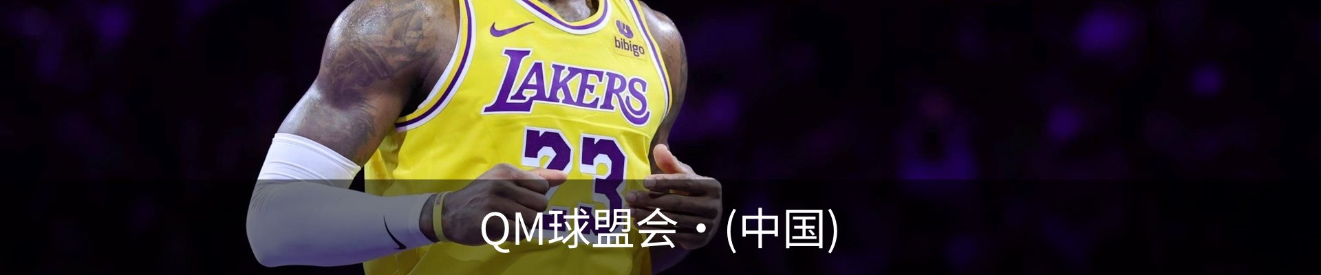 QM球盟会·(中国)